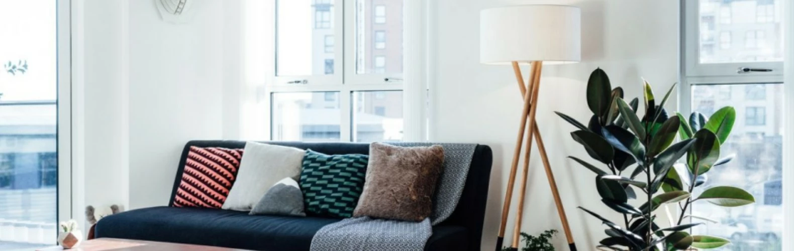 Pacific Coast shop 1 Pacific Coast shop -Pacific Coast shop 未命名pc